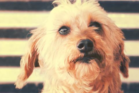 Screen Shot 2014-11-30 at 11.01.00 AM